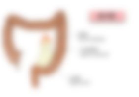 会員限定の図
