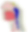 会員限定の図