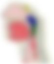 会員限定の図
