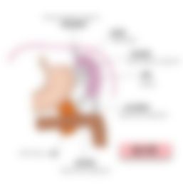 会員限定の図