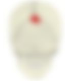 会員限定の図