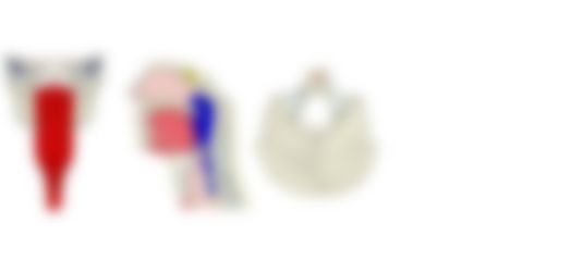 会員限定の図