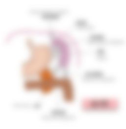 会員限定の図