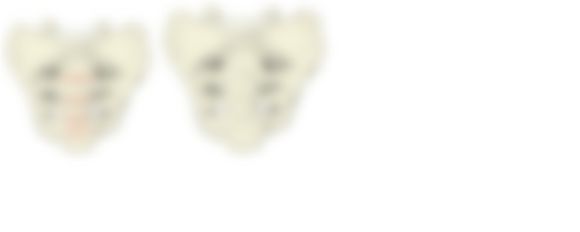 会員限定の図