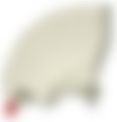 会員限定の図