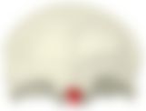 会員限定の図