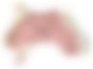 会員限定の図