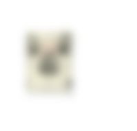 会員限定の図