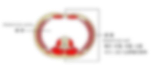 会員限定の図