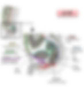会員限定の図