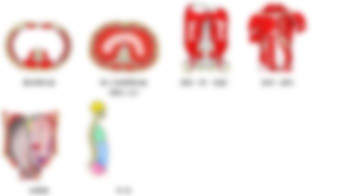 会員限定の図