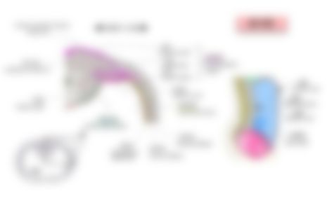 会員限定の図