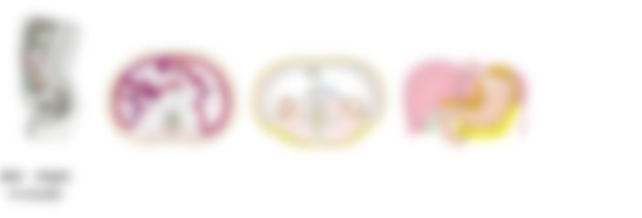 会員限定の図