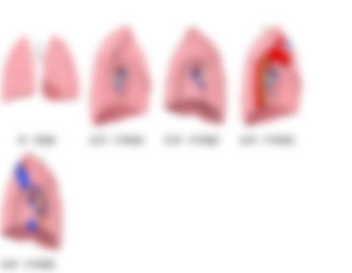 会員限定の図