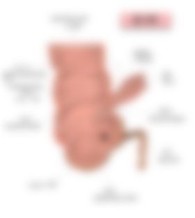 会員限定の図