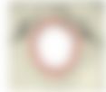 会員限定の図