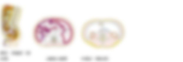 会員限定の図
