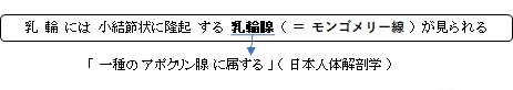 乳輪には小結節状に隆起する乳輪腺(=モントゴメリー腺)が見られる。一種のアポクリン腺に属する(日本人体解剖学)