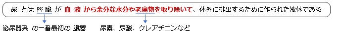 尿とは