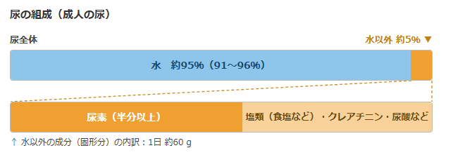尿の組成（水が約95％を占める）
