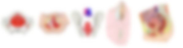 会員限定の図