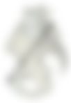 会員限定の図