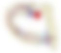 会員限定の図