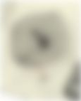 会員限定の図
