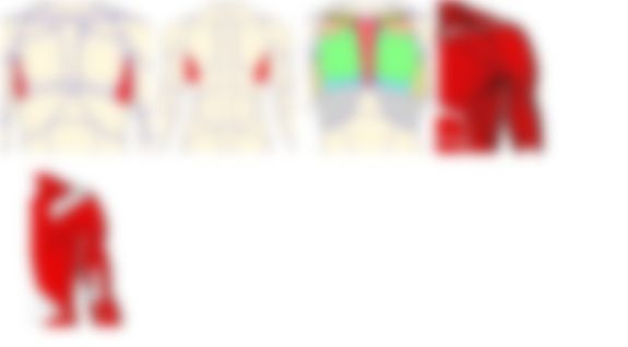 会員限定の図