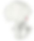 会員限定の図
