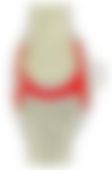 会員限定の図