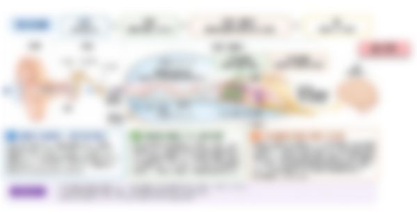 会員限定の図