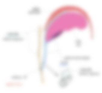 会員限定の図