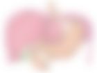 会員限定の図