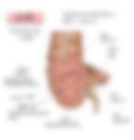会員限定の図