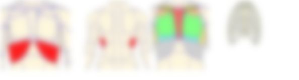 会員限定の図