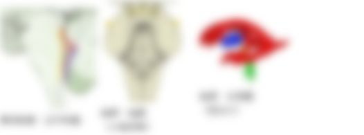 会員限定の図