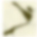 会員限定の図