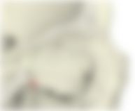 会員限定の図