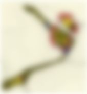 会員限定の図