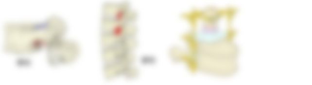 会員限定の図