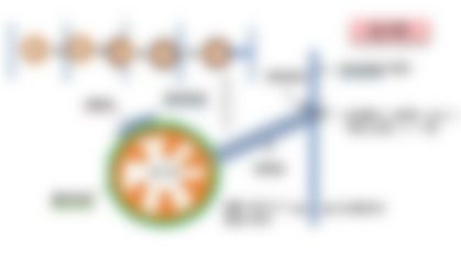 会員限定の図