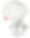 会員限定の図