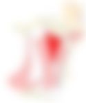 会員限定の図
