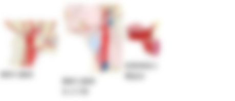 会員限定の図
