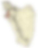 会員限定の図