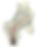 会員限定の図