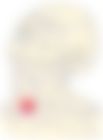 会員限定の図