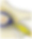 会員限定の図