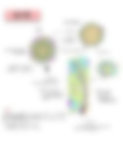 会員限定の図